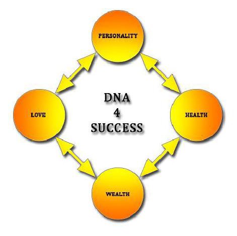 DNA 4（フォー）サクセス.jpg